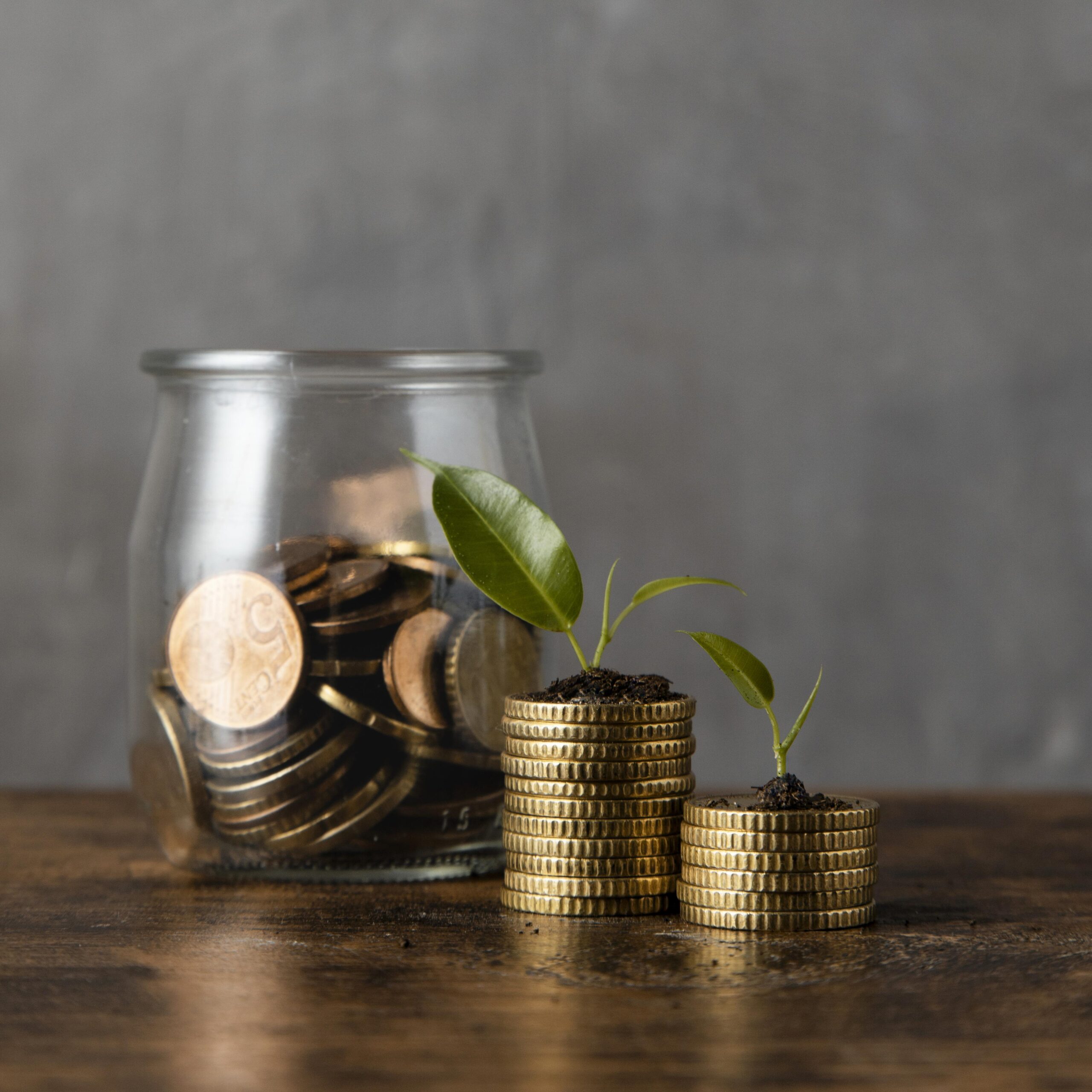 front view two stacks coins with plants jar scaled